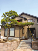 M[ʐ^06